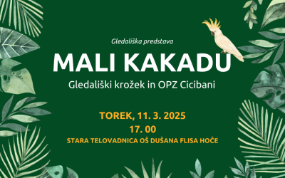 Gledališka predstava – MALI KAKADU